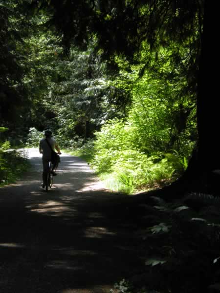 Here's the other one of us ... biking down a trail in Stanley Park.