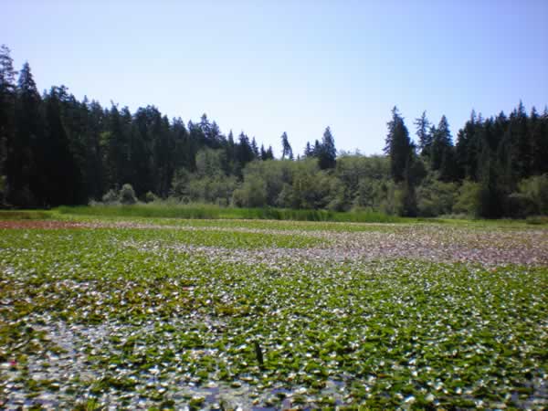 Beaver Lake - Hard to believe this is right in the city.