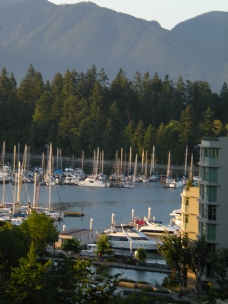 A close-up view of Coal Harbor from our condo.