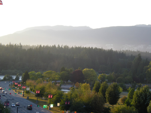 The view of Stanley Park from our condo.