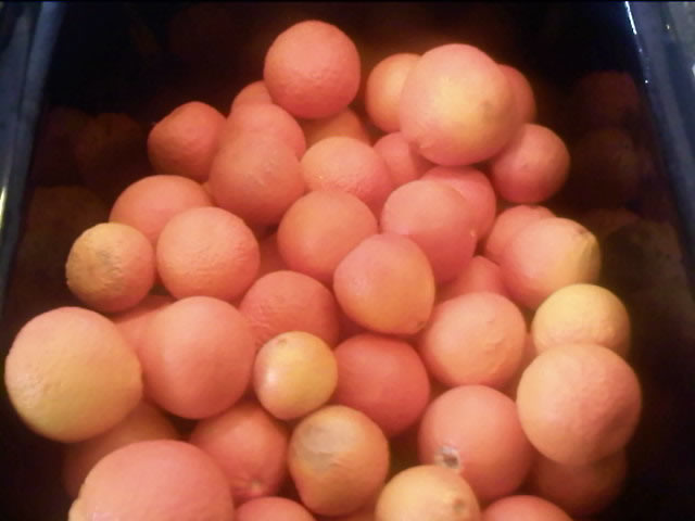 oranges_2009