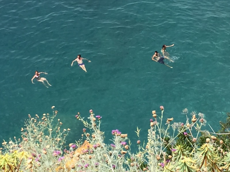 We enjoyed watching these four floating in the aquamarine blue of the Mediterranean. 